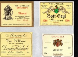 ALSACE - Muscat  X 4 -  ( Etiquette Légèrement Collée Sur Feuille D´expo.) - Gewurztraminer