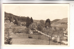 5789 MEDEBACH - REFERINGHAUSEN, Photo-AK, Ca. 1950 - Meschede
