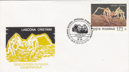 9459- LASCONA CRISTIANI, CAVE SPIDER, SPECIAL COVER, 1994, ROMANIA - Araignées