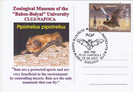 9481- COMMON PIPISTRELLE BAT, SPECIAL POSTCARD, 2007, ROMANIA - Fledermäuse