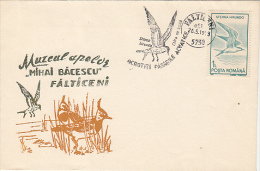 9509- COMMON TERN, MARINE BIRD, SPECIAL COVER, 1993, ROMANIA - Palmípedos Marinos