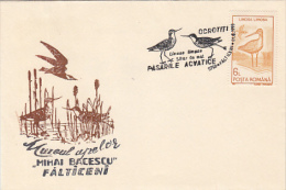 9510- BLACK TAILED GODWIT, BIRD, SPECIAL COVER, 1993, ROMANIA - Storchenvögel