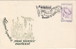 9512- LITTLE EGRET, BIRD, SPECIAL COVER, 1993, ROMANIA - Pelikanen