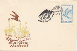 9513- WHISKERED TERN, BIRD, SPECIAL COVER, 1993, ROMANIA - Mouettes