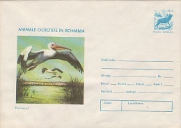 9524- PELICAN, BIRD, COVER STATIONERY, 1977, ROMANIA - Pelícanos