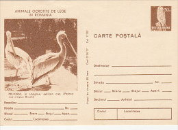 9527- PELICAN, BIRD, POSTCARD STATIONERY, 1977, ROMANIA - Pelikanen