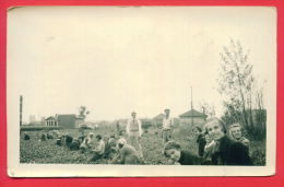 158067 / BULGARIA IMMIGRANTS TO WORK IN VEGETABLE GARDENS - Brown 1933 Photo Service In Minneapolis ( Minnesota ) - Minneapolis