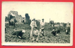 158068 / BULGARIA IMMIGRANTS TO WORK IN VEGETABLE GARDENS - Brown 1933 Photo Service In Minneapolis ( Minnesota ) - Minneapolis