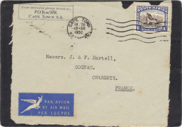 Afrique Du Sud - Devant De Lettre Avion  Cape Town 13/12/ 1952 Pour Cognac Charente France - Briefe U. Dokumente