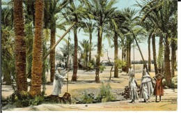 CPA  SUEZ, Palmier à La Fontaine De Moïse, Animée  11288 - Sues