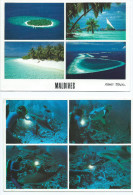 Asie MALDIVES  Male Atoll  Lot De 2 Cartes  - Scan R/V Des 2 Cartes - Photo Michael Friedel * PRIX FIXE - Maldive