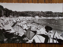 17 - VAUX - NAUZAN - La Plage. (les Tentes De Plage...) CPSM - Vaux-sur-Mer