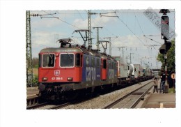 ALLEMAGNE - Müllheim  - TRAIN RÉGIONAL CARGO  - 2008 - - Müllheim