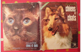 Album D'images Télémagazine. Collection Chiens Et Chats. 1972. Complet - Album & Cataloghi