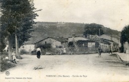 Poissons Entrée Du Pays - Poissons