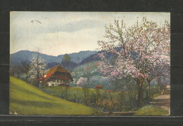 TOP!! GUTACHTAL * SCHWARZWALD * 1913  **!! - Gutach (Breisgau)