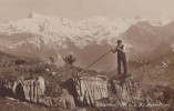 Suisse -  Montagne De Dallenwill - Stanserhorn - Alphornbläser - Musique Folklore - Stans