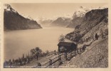 Suisse -  Seelisberg Auf  Bristenstock - Seelisberg