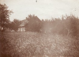 Photo Juillet 1917 SIPSNIS - Une Vue (A91, Ww1, Wk 1) - Lettonie