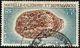 NEW CALEDONIA 33 FRANCS PORCELINE ARCHS SHELL (?) SET OF 1 USEDNH 1970 SG455 READ DESCRIPTION !! - Used Stamps