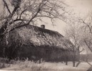 Photo Janvier 1918 PLOZAN - Ruines (A91, Ww1, Wk 1) - Lettonie