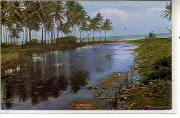Amérique - GREETINGS FROM TOBAGO WI - Petit Trou With Its Sleepy Lagoon And Connut Palms - CPSM Couleur - Trinidad