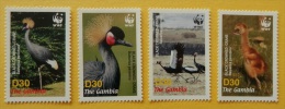 (022) Gambia / Gambie  WWF / Birds / Oiseaux / Vögel / Vogels  ** / Mnh  Michel 5631-34 - Gambia (1965-...)