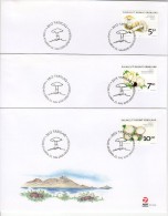 GREENLAND 2006 Fungi II Set On 3 FDCs.  Michel 464-66 - FDC