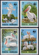 ROMANIA, 1984, Pelicans Of The Danube Delta, Birds, WWF, W.W.F., MNH (**), LPMP/Sc 1116/3232-35 - Pelikane