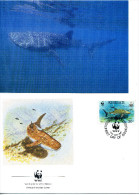 KIRIBATI 1991 - MAMMIPHERES MARINS REQUIN BALEINE - FDC + CARTE - Cartas & Documentos