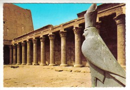 Egypte - Edfu - Forecourt In Horus Temple - Edfou