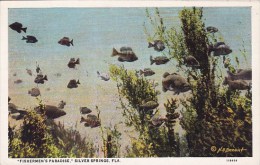 Fishermens Paradise Silver Springs Florida - Silver Springs