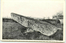 DEP 72 TORCE E VALLEE LE DOLMEN - Dolmen & Menhirs