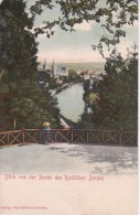 AK Blick Von Der Bastei Des Rochlitzer Berges - 1904 (10586) - Rochlitz