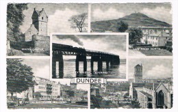 UK2026     DUNDEE : Multiview - Angus