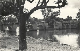 ILE DE FRANCE - 78 - YVELINES -LIMAY - VIeux Pont Et L'île - CPSM PF NB - Limay