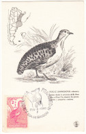 Dia De Emision -Feb 6 1960 - PERDIZ (Rhynchotus Rufescens) - First Day Of Issue Card - BIRD (Perdrix) - Argentina - Interi Postali