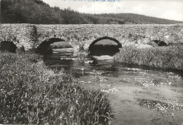 Carte Postale PALISEUL...Maissin Vallée De La Haute Lesse, Sous Les Arches De Schiste Du Vieux Pont Marie-Thérèse - Paliseul