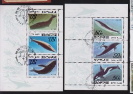 Corée Du Nord YV BF 111/2 O 1992 Cétacé - Whales