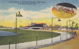 Florida Palm Beach Greyhound Racing At Palm Beach Kennel Club Curteich - Palm Beach