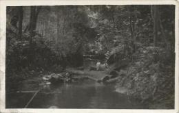 Equatorial Guinea 1920s Rio Muni Transporte Fluvial De La Medera Forestry Forest Logs Agfa Viewcard - Guinea Ecuatorial