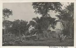 Equatorial Guinea 1920s Rio Muni Perbosque En La Isla Agfa Viewcard - Equatoriaal Guinea