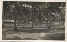 Equatorial Guinea 1920s Rio Muni Plaza De Las Palmeras Rio Benito Agfa Viewcard - Äquatorial-Guinea