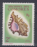 Comoro Islands 1962 Shell Yvert#21 Mint Never Hinged - Unused Stamps
