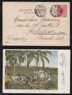Brazil Brasil 1905 Color Picture Postcard SANTOS To FRANCE - Lettres & Documents