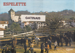 Espelette-pyrénées Atlantiques-(64) - Espelette