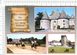 ARNAC - POMPADOUR  -   Cité Du Cheval  -  Son Château - Son Hippodrome -  Son Haras National - 3 Vues - Arnac Pompadour