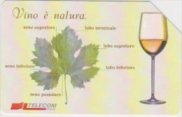 ITALY - C&C CATALOGUE - F3504 - WINES - 2.000LIRE - Publiques Thématiques