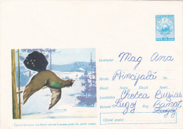 3323A   Blackcock  1964 COVER STATIONERY ROMANIA. - Pavoni