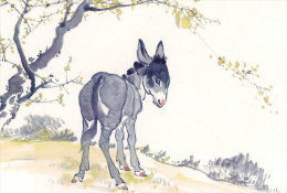(N54-091  )  Anes Esel Donkey Burros Y Asnos, Postal Stationery-Entier Postal-Ganzsache-Postwaar Destuk - Esel